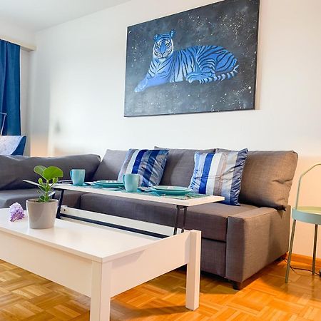 Special Blue Tiger Apartment Basel, Messe Kleinbasel 10-Star ภายนอก รูปภาพ
